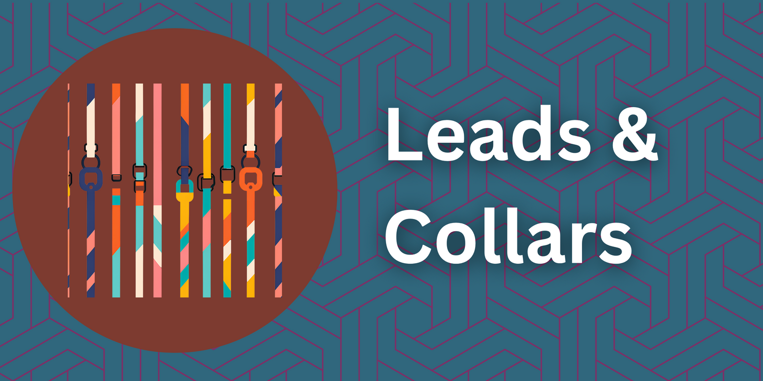 Leads & Collars