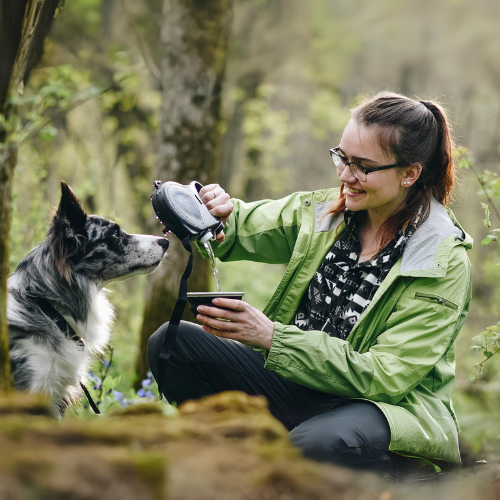 Nexus Smart™ 3 in 1 Retractable Dog Leash (2024 Upgraded Version)