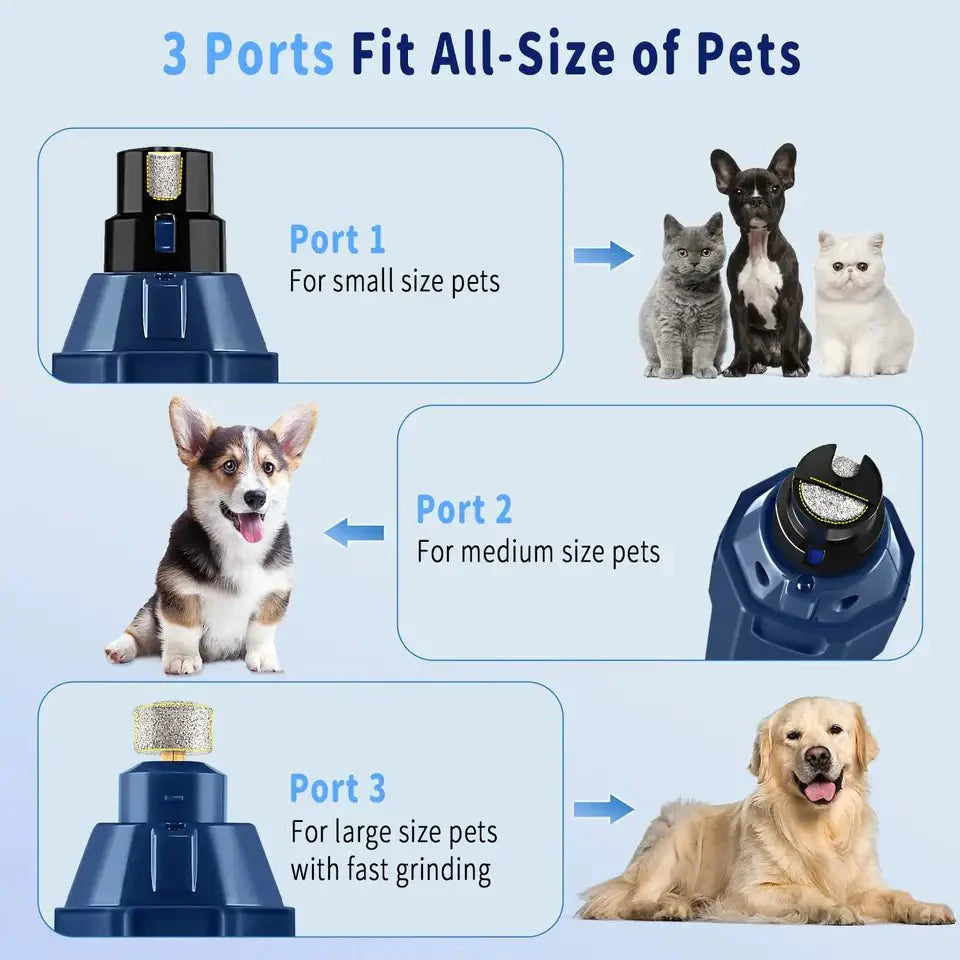 PawPerfect Pro™ 6-in-1 Bundle